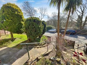 Front Garden- click for photo gallery